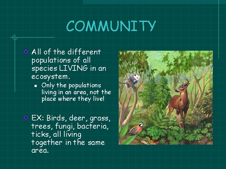 COMMUNITY All of the different populations of all species LIVING in an ecosystem. n COMMUNITY All of the different populations of all species LIVING in an ecosystem. n