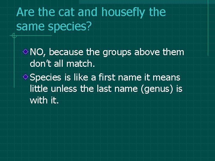 Are the cat and housefly the same species? NO, because the groups above them Are the cat and housefly the same species? NO, because the groups above them