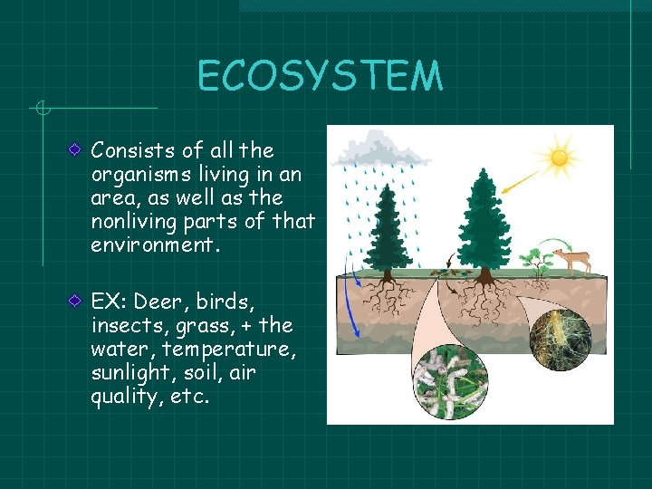 ECOSYSTEM Consists of all the organisms living in an area, as well as the ECOSYSTEM Consists of all the organisms living in an area, as well as the