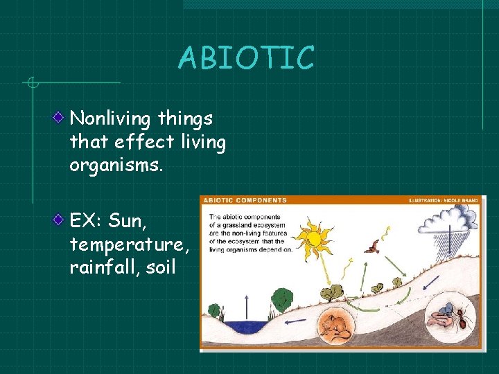 ABIOTIC Nonliving things that effect living organisms. EX: Sun, temperature, rainfall, soil ABIOTIC Nonliving things that effect living organisms. EX: Sun, temperature, rainfall, soil