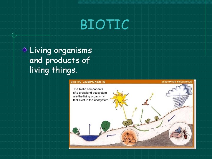 BIOTIC Living organisms and products of living things. BIOTIC Living organisms and products of living things.