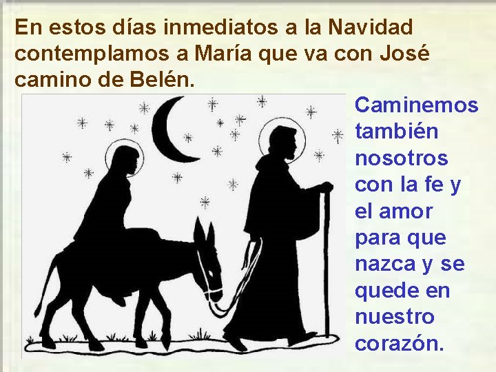 En estos días inmediatos a la Navidad contemplamos a María que va con José