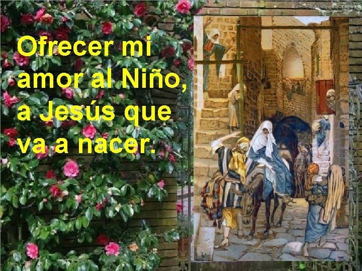 Ofrecer mi amor al Niño, a Jesús que va a nacer. 