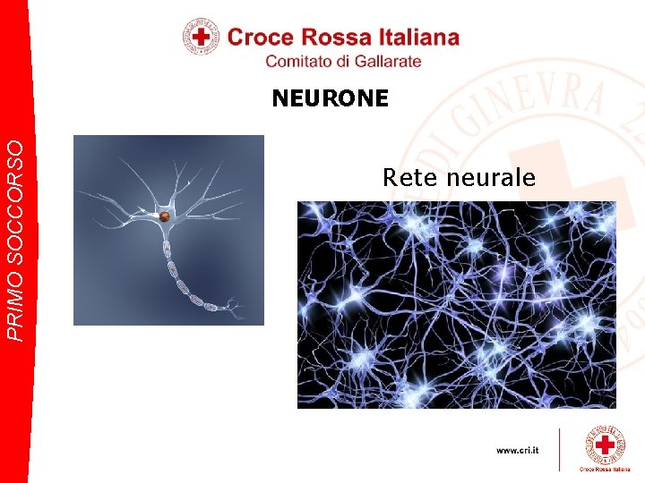 PRIMO SOCCORSO NEURONE Rete neurale 