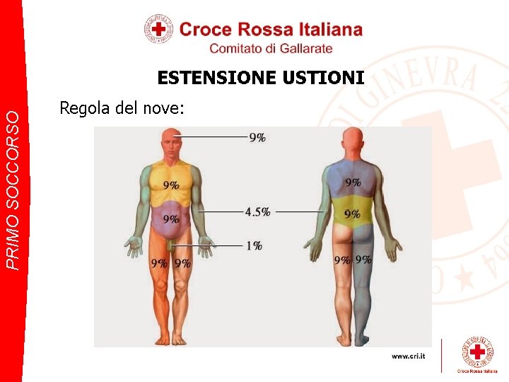 PRIMO SOCCORSO ESTENSIONE USTIONI Regola del nove: 