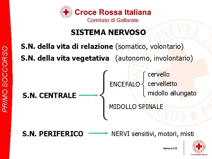 PRIMO SOCCORSO SISTEMA NERVOSO S. N. della vita di relazione (somatico, volontario) S. N.