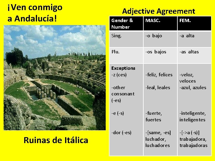 ¡Ven conmigo a Andalucía! Ruinas de Itálica Adjective Agreement Gender & Number MASC. FEM.