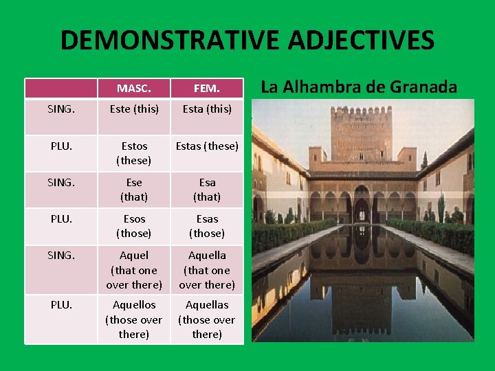 DEMONSTRATIVE ADJECTIVES MASC. FEM. SING. Este (this) Esta (this) PLU. Estos (these) Estas (these)