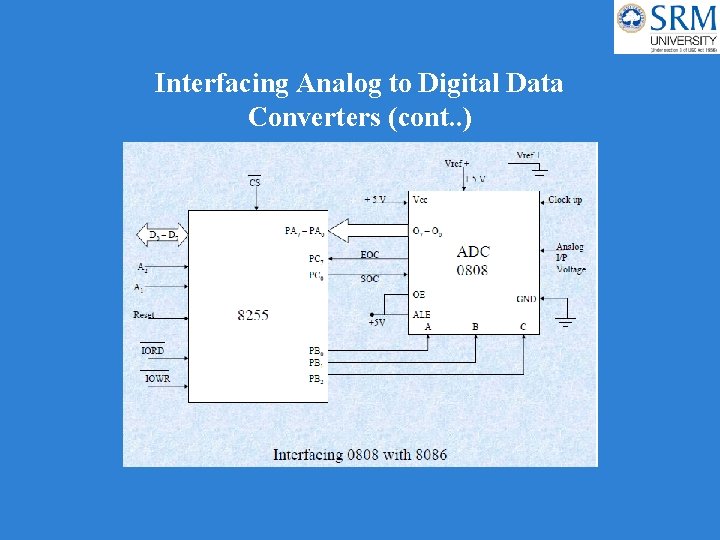 Interfacing Analog to Digital Data Converters (cont. . ) 