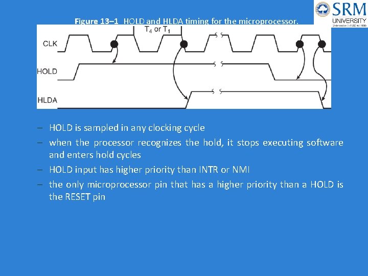 Figure 13– 1 HOLD and HLDA timing for the microprocessor. – HOLD is sampled