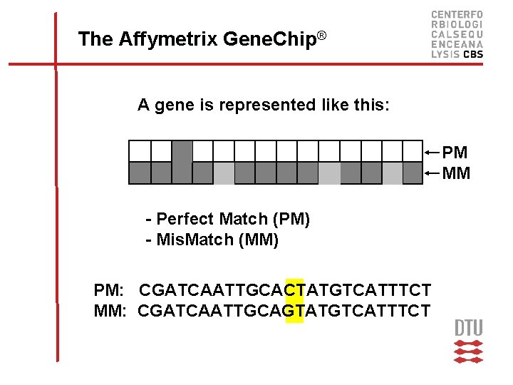 The Affymetrix Gene. Chip® A gene is represented like this: PM MM - Perfect