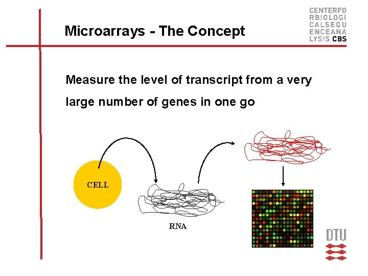 Microarrays - The Concept Measure the level of transcript from a very large number