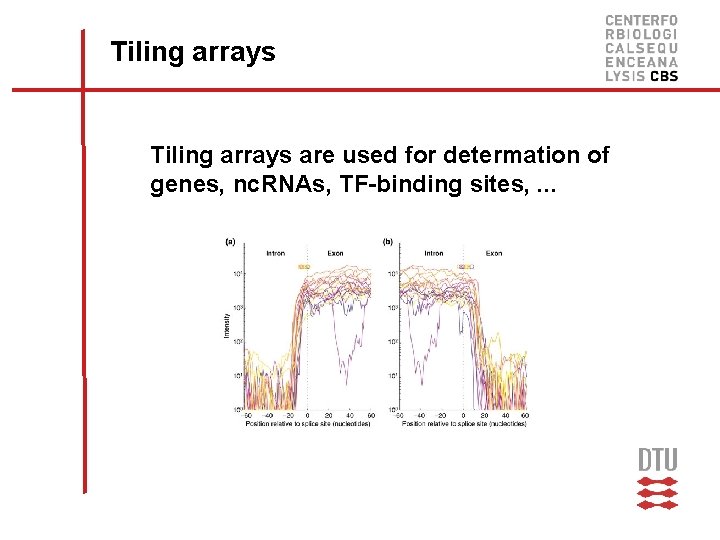 Tiling arrays are used for determation of genes, nc. RNAs, TF-binding sites, . .