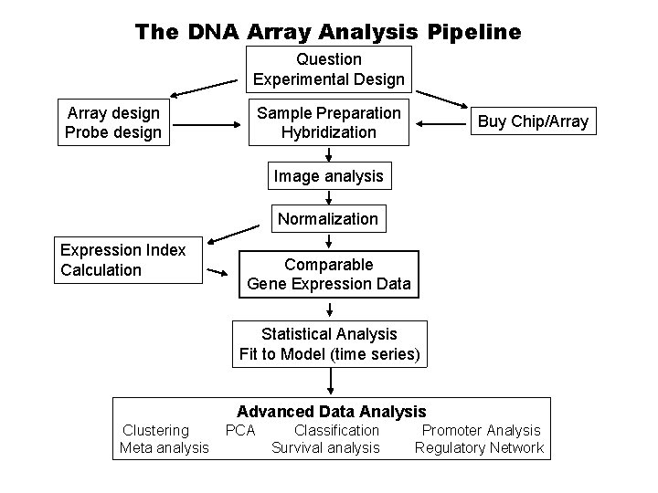 The DNA Array Analysis Pipeline Question Experimental Design Array design Probe design Sample Preparation