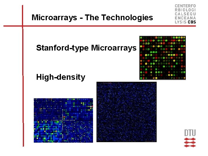 Microarrays - The Technologies Stanford-type Microarrays High-density 