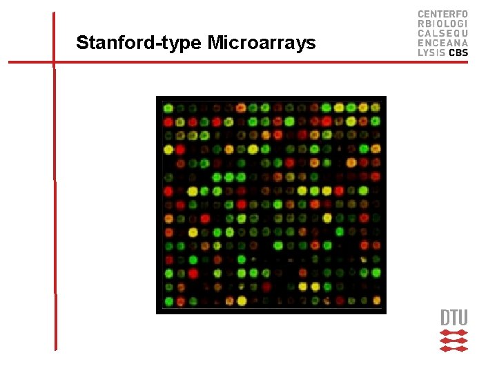 Stanford-type Microarrays 