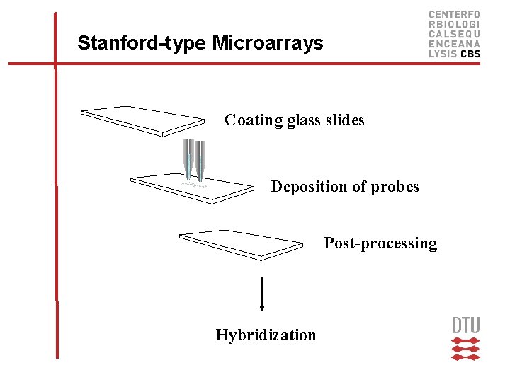 Stanford-type Microarrays Coating glass slides Deposition of probes Post-processing Hybridization 