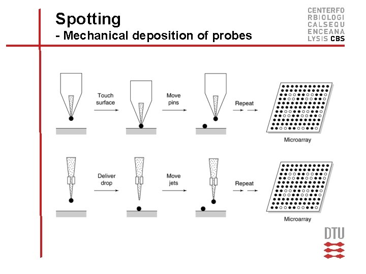 Spotting - Mechanical deposition of probes 