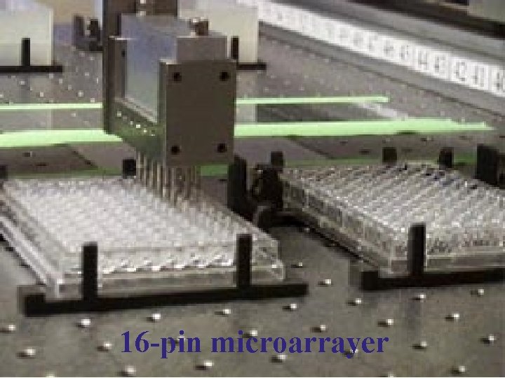 16 -pin microarrayer 