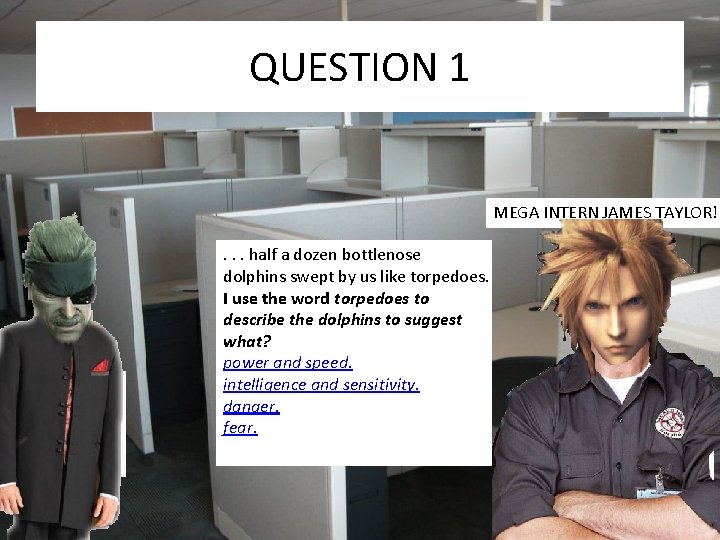 QUESTION 1 MEGA INTERN JAMES TAYLOR!. . . half a dozen bottlenose dolphins swept