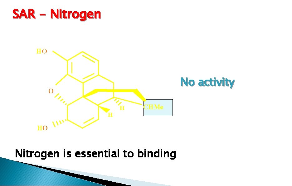 SAR - Nitrogen HO No activity O HO H H CHMe Nitrogen is essential