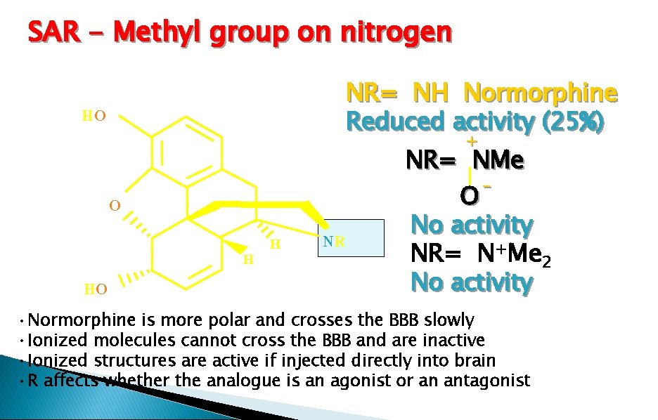 SAR - Methyl group on nitrogen HO NR= NH Normorphine Reduced activity (25%) HO