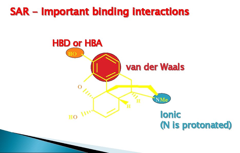 SAR - Important binding interactions HBD or HBA HO van der Waals O HO