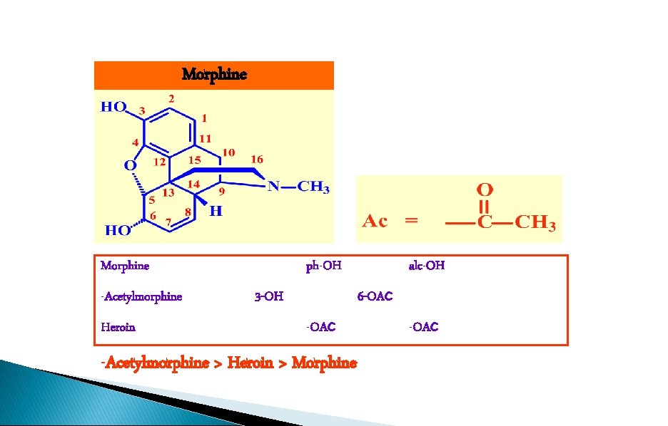 Morphine -Acetylmorphine Heroin ph-OH 3 -OH alc-OH 6 -OAc -Acetylmorphine > Heroin > Morphine