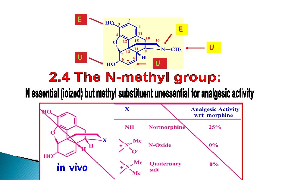 E E U U in vivo U 