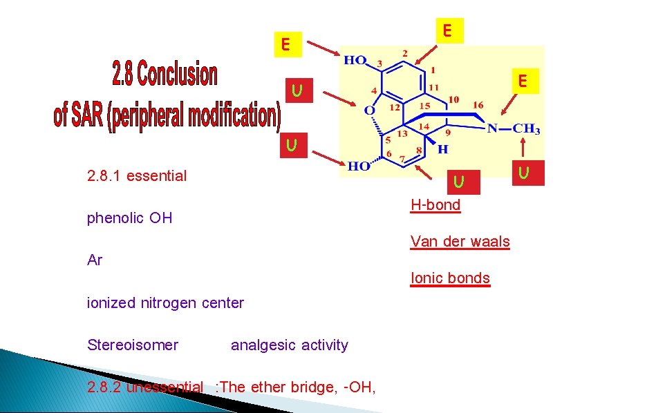 E E E U U 2. 8. 1 essential U H-bond phenolic OH Van