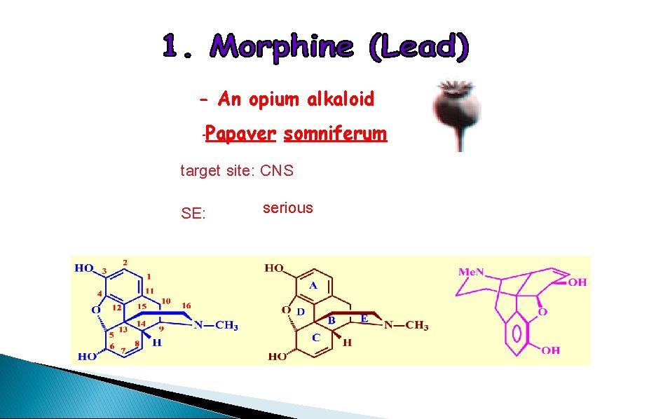 - An opium alkaloid -Papaver somniferum target site: CNS SE: serious 