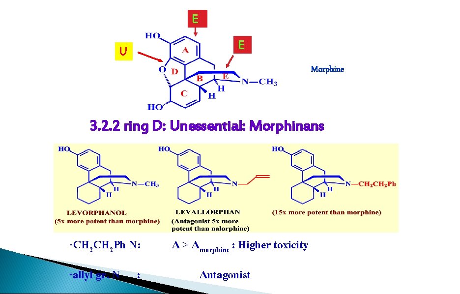 E U E Morphine 3. 2. 2 ring D: Unessential: Morphinans -CH 2 Ph