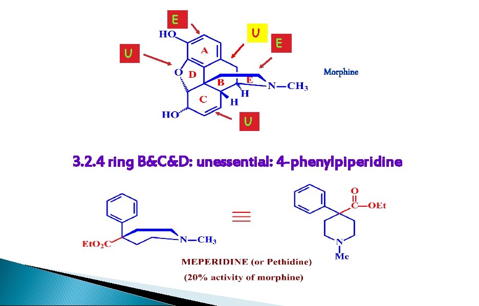 E U U E Morphine U 3. 2. 4 ring B&C&D: unessential: 4 -phenylpiperidine