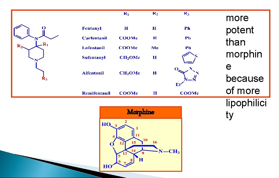 Morphine more potent than morphin e because of more lipophilici ty 