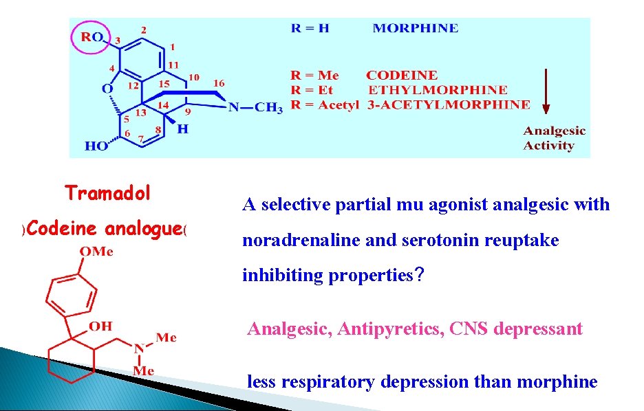 Tramadol )Codeine analogue( A selective partial mu agonist analgesic with noradrenaline and serotonin reuptake