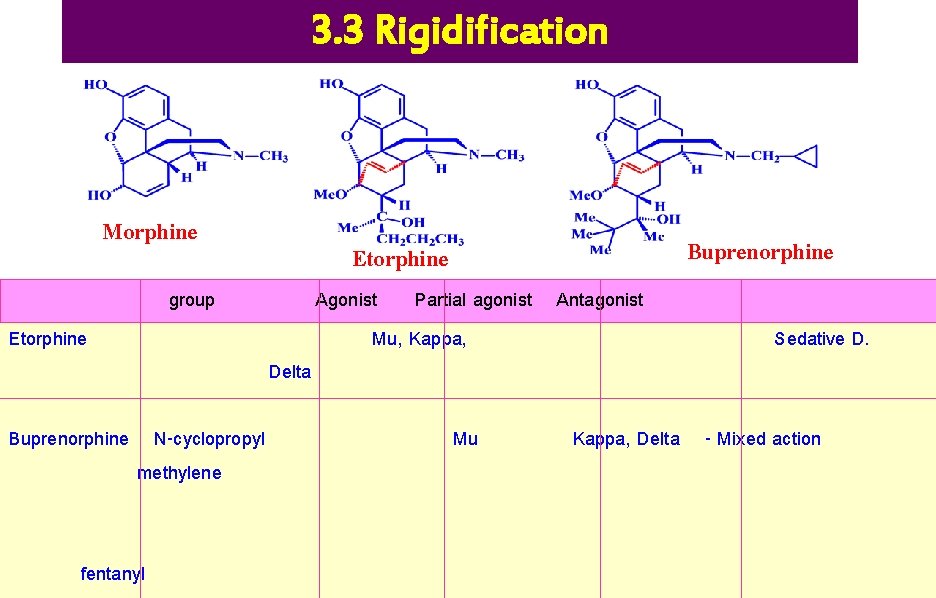 3. 3 Rigidification Morphine group Etorphine Buprenorphine N-cyclopropyl methylene fentanyl Buprenorphine Etorphine Delta Agonist