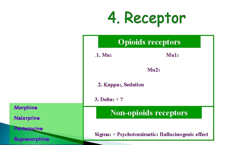 Opioids receptors. 1. Mu: Mu 1: Mu 2: . 2. Kappa: , Sedation -Morphine