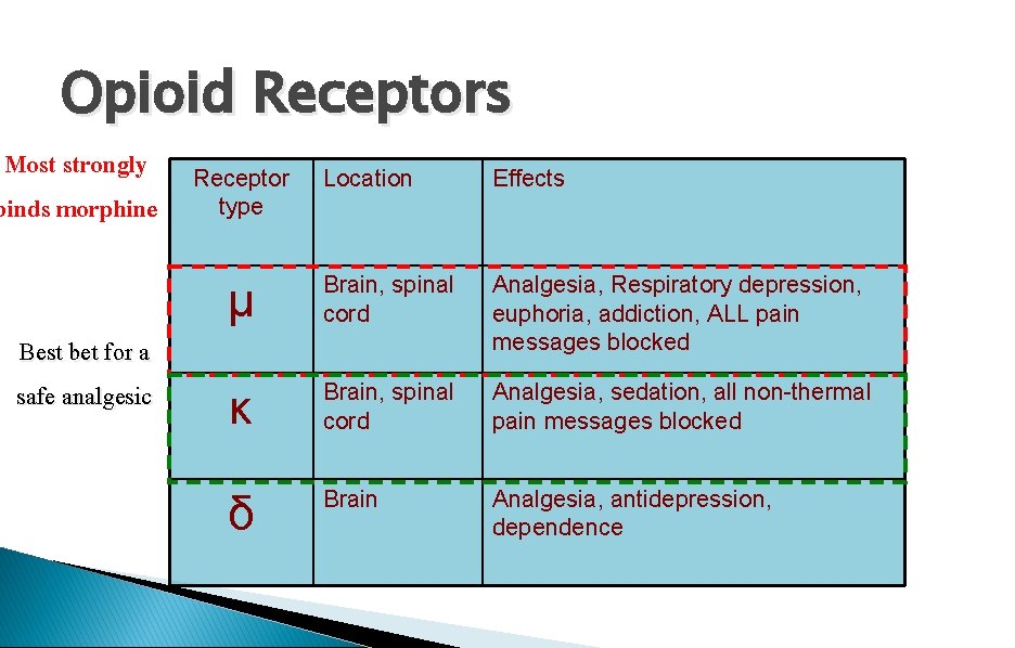 Opioid Receptors Most strongly binds morphine Best bet for a safe analgesic Receptor type