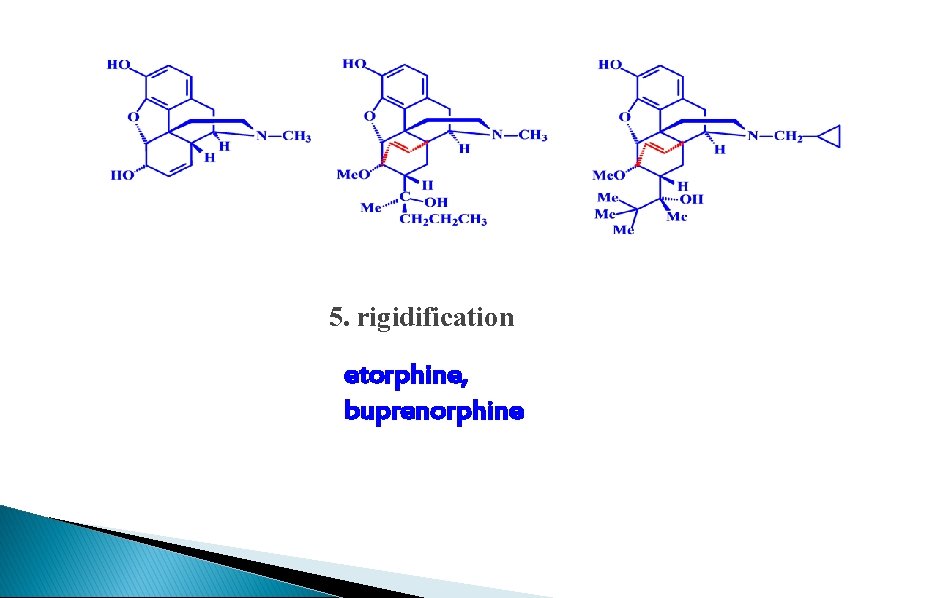 5. rigidification etorphine, buprenorphine 