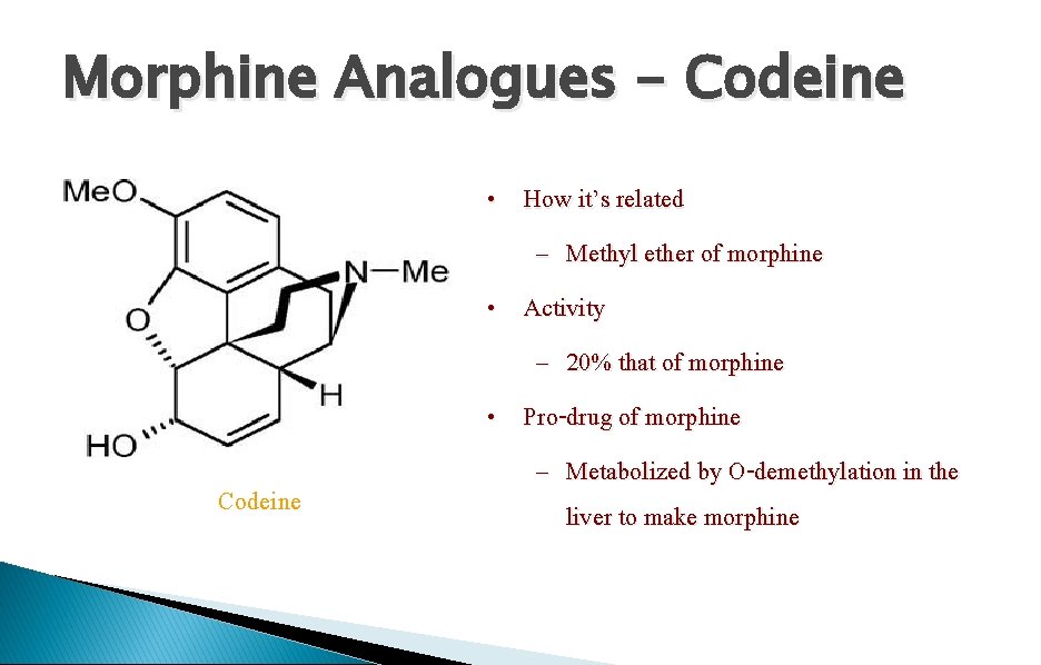 Morphine Analogues - Codeine • How it’s related – Methyl ether of morphine •