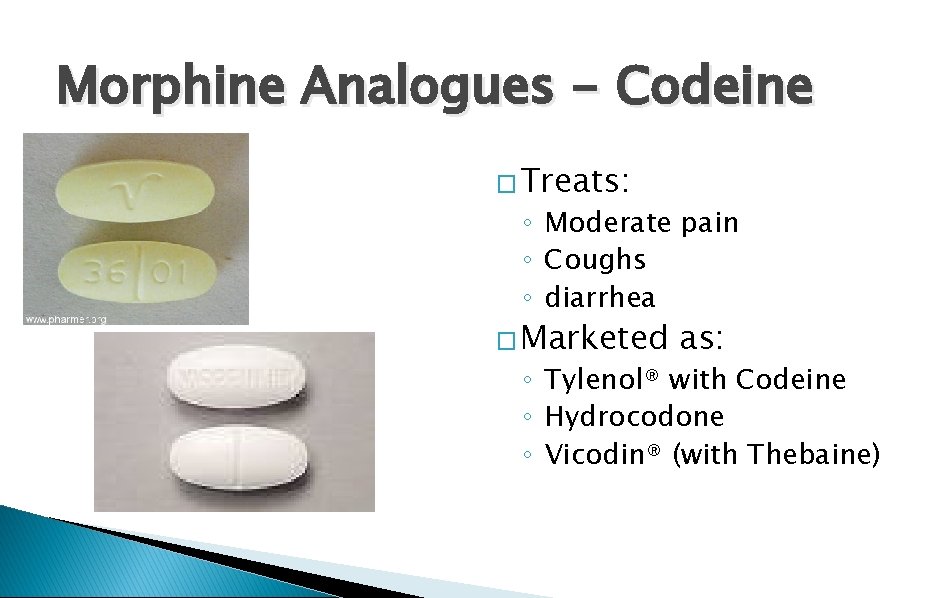 Morphine Analogues - Codeine � Treats: ◦ Moderate pain ◦ Coughs ◦ diarrhea �