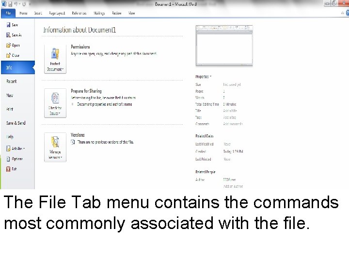 The File Tab menu contains the commands most commonly associated with the file. 