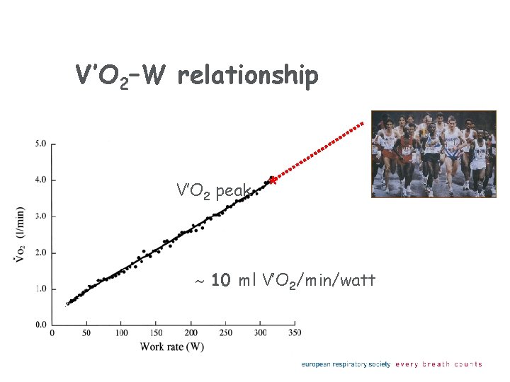 V’O 2–W relationship V’O 2 peak * 10 ml V’O 2/min/watt 