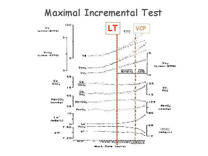 Maximal Incremental Test LT VCP 