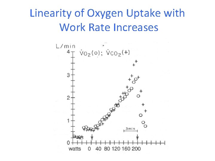 Linearity of Oxygen Uptake with Work Rate Increases 