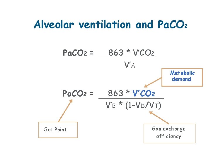 Alveolar ventilation and Pa. CO 2 = Set Point 863 * V’CO 2 V’A