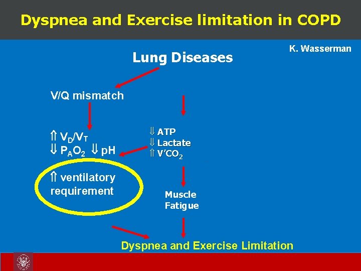 Dyspnea and Exercise limitation in COPD K. Wasserman Lung Diseases V/Q mismatch VD/VT PAO