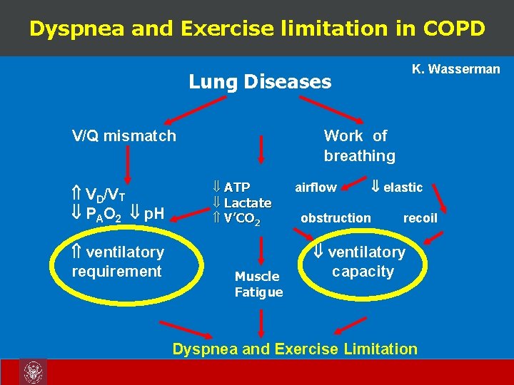 Dyspnea and Exercise limitation in COPD K. Wasserman Lung Diseases V/Q mismatch VD/VT PAO