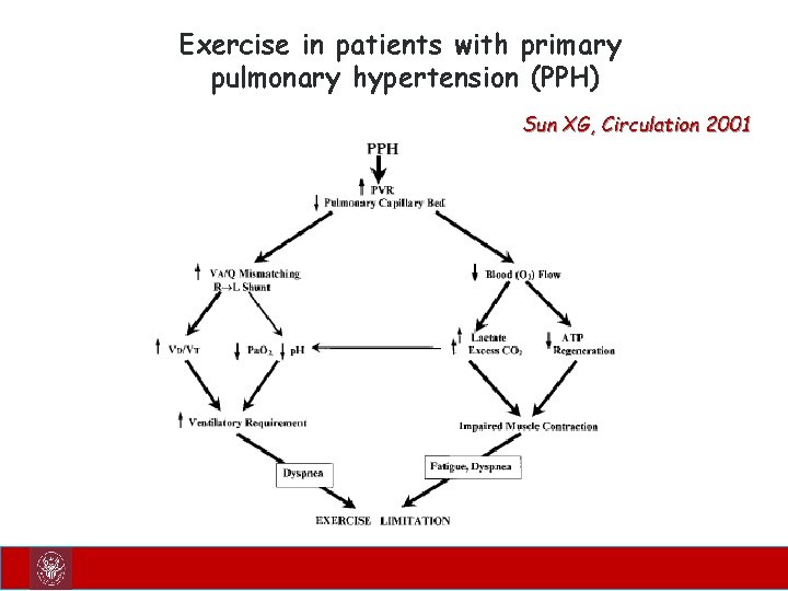 Exercise in patients with primary pulmonary hypertension (PPH) Sun XG, Circulation 2001 