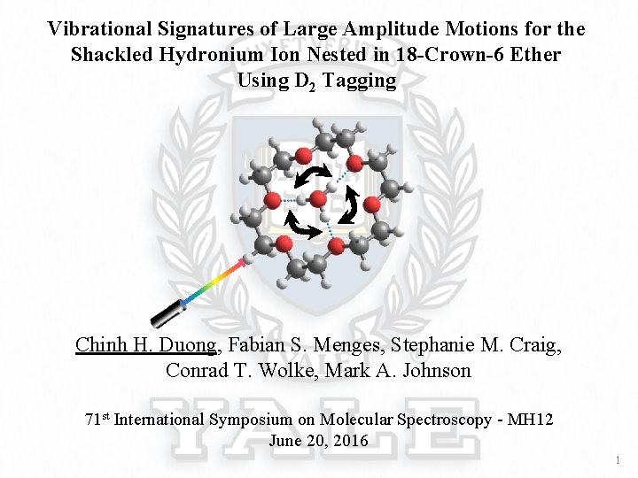 Vibrational Signatures of Large Amplitude Motions for the Shackled Hydronium Ion Nested in 18